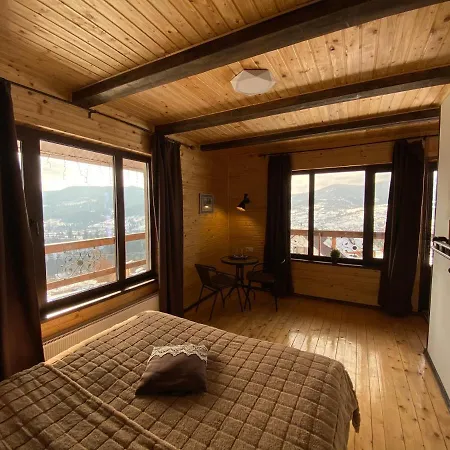 Agora Hotel Slavske