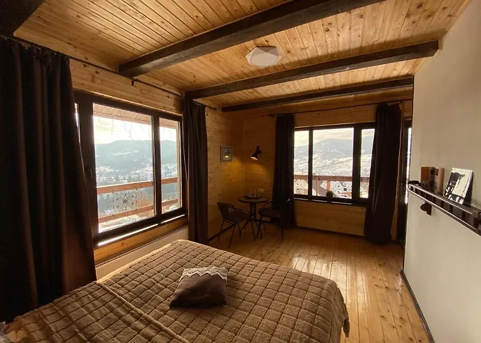 Agora Hotel Slavske